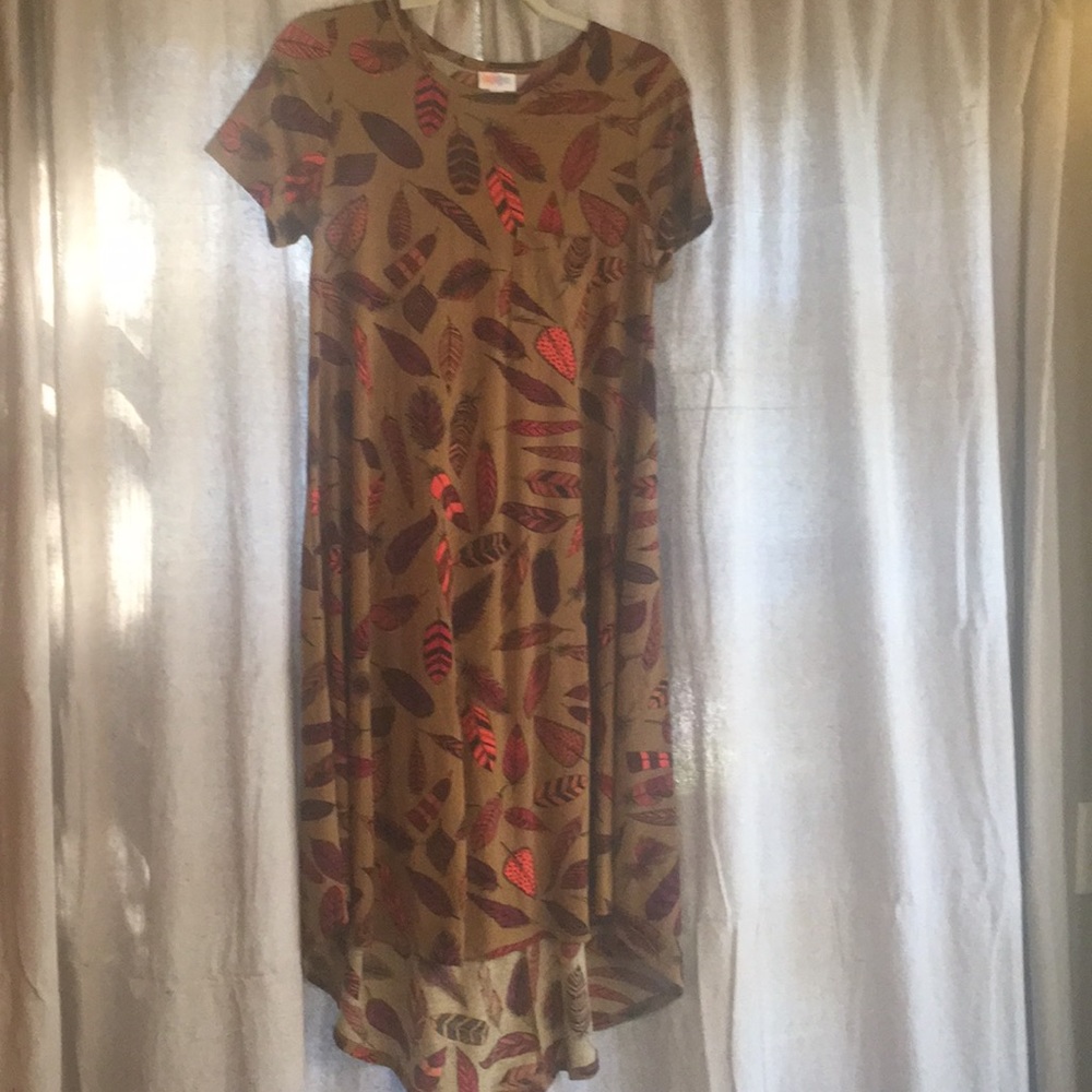 Lularoe Carly.
